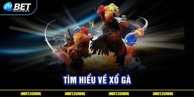 Tìm hiểu về xổ gà