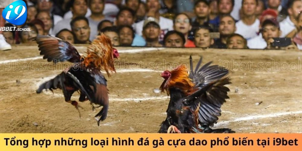 Tổng hợp những loại hình đá gà cựa dao phổ biến tại I9bet