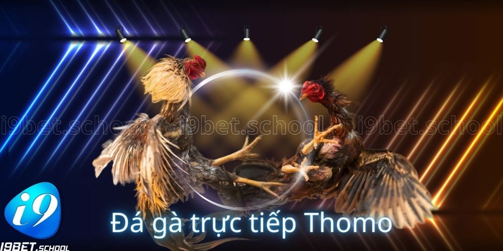 ĐỊNH NGHĨA ĐÁ GÀ TRỰC TIẾP THOMO