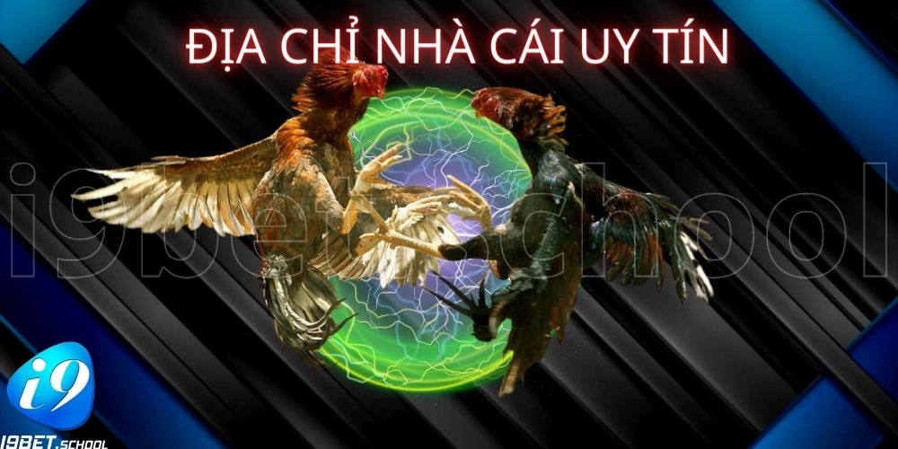 ĐỊA CHỈ NHÀ CÁI UY TÍN