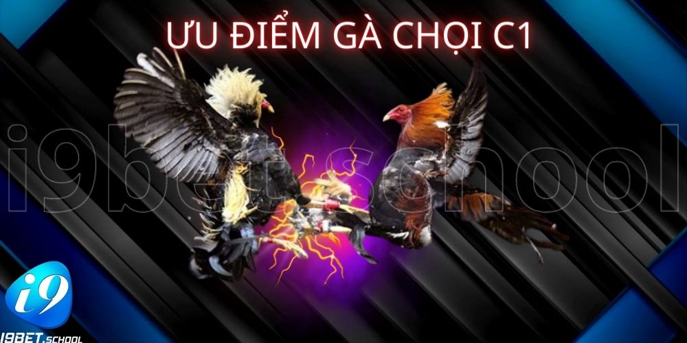 ƯU ĐIỂM GÀ CHỌI C1 -Số lượng người chơi đông