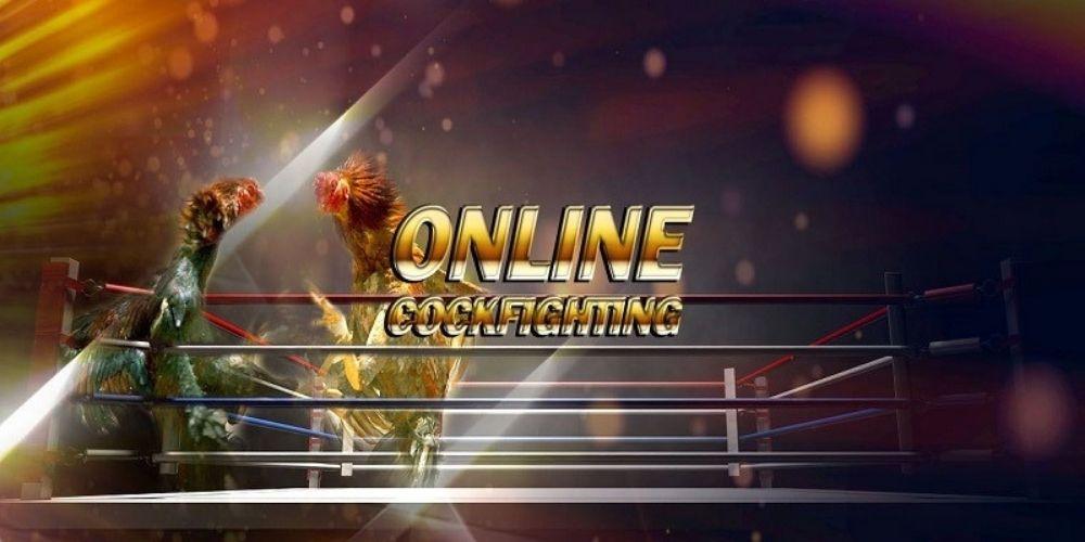 Sơ lược về đá gà online - odin gamecock