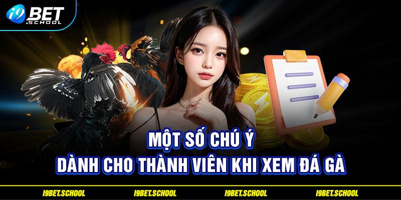 Một số chú ý dành cho thành viên khi xem đá gà